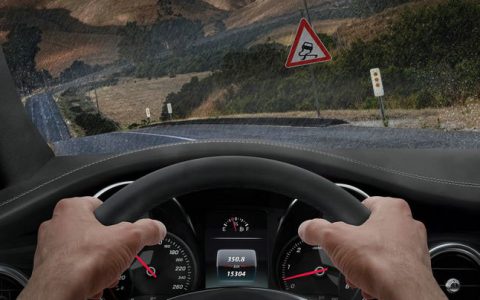 自适应巡航系统英文缩写叫什么