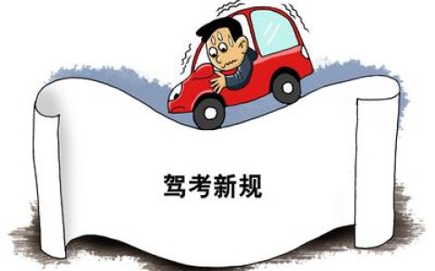 科目五考什么项目