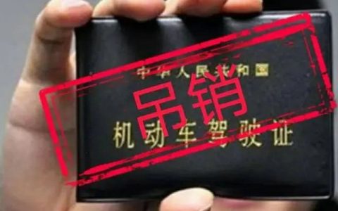 吊销驾驶证的违法行为有哪些