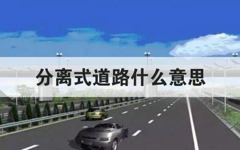 分离式道路是什么意思