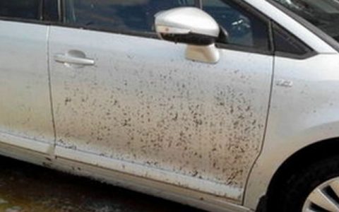 水泥弄到车漆上怎么办