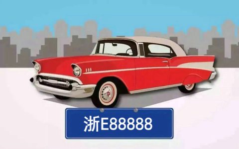 浙e是哪里的车牌号