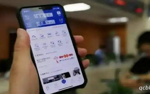 怎么查看电子版车辆检验标志