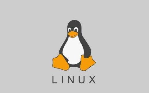 一分钟内检查Linux服务器性能? 9个性能检测常用的基本命令