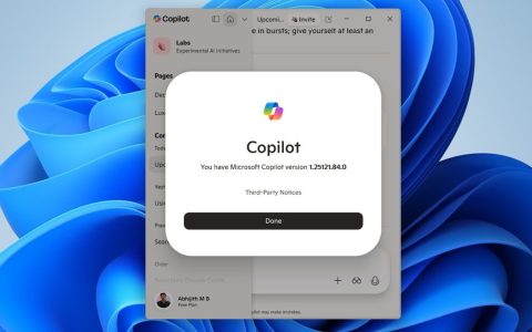 上线密码同步与内置浏览器! Win11测试新版Copilot