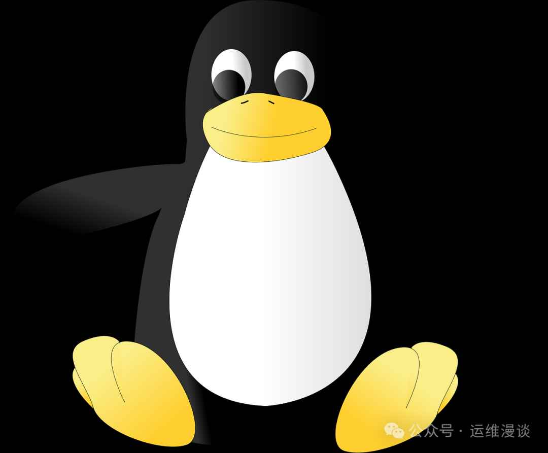 开箱即用? 这4个高手级Linux发行版远没你想象的那么安全易用