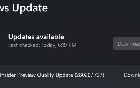 Win11 Canary 预览版28020.1737发布:附KB5079452完整更新日志