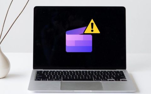 Win11无法安装ClipChamp怎么办? ClipChamp安装失败的修复方法