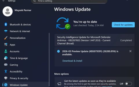 Win11三月可选更新KB5079391发布:附预览版26200.8116更新日志