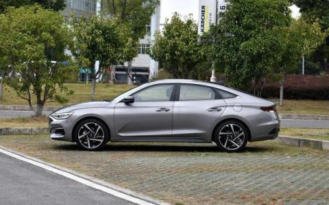 伤车的行为有哪些