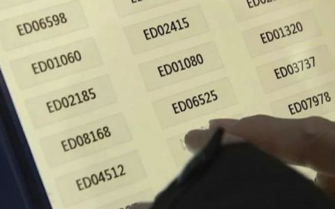 粤e是广东哪里的车牌号码