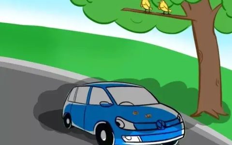 汽车排量怎么看