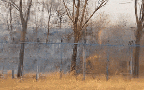 一把火逼停11辆列车！吉林一村民违规烧荒 后果严重