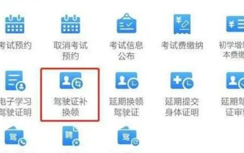网上怎么审驾驶证