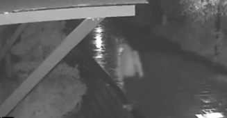 140万保时捷被盗!警方2小时追回 荒唐窃贼：找代驾开去前女友家炫耀