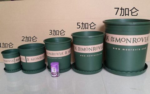 1加仑等于多少升