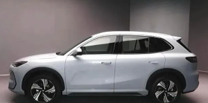 预算 10 万别瞎冲！这 5 台纯电 SUV 闭眼买不踩雷，安全、续航、性价比全拉满