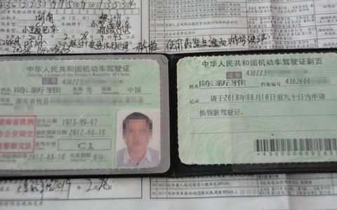 处理交通违章需要带哪些证件