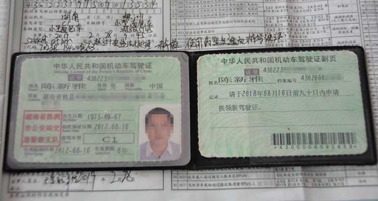 处理交通违章需要带哪些证件