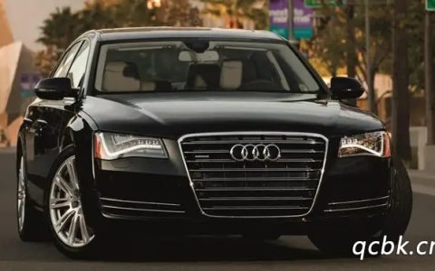 奥迪w12什么意思