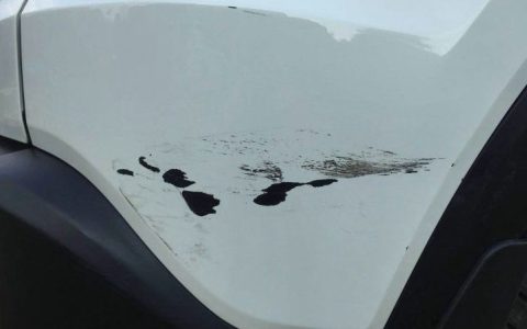 新车没磕碰为什么掉漆了