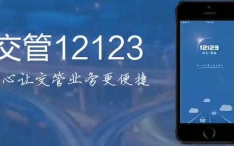 驾驶证如何在网上申请换证