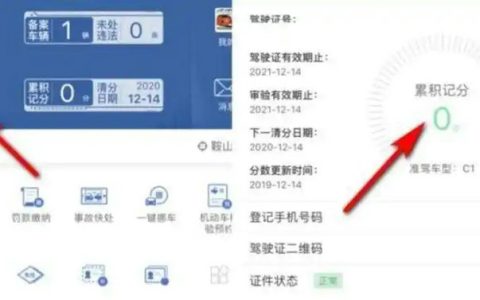 怎么查询驾驶证分数还有多少