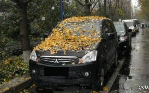 汽车停放二三个月不开没事吧