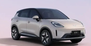 2026 年 6 万级纯电小车闭眼买指南：这 8 款卷疯了，代步、家用、通勤全搞定