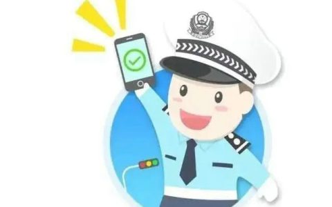 12123违章查询显示服务异常是什么原因