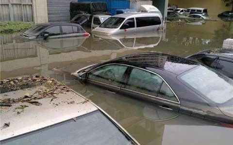 买到泡水车怎么解决