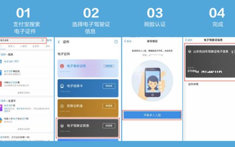 申请电子驾驶证怎么申请