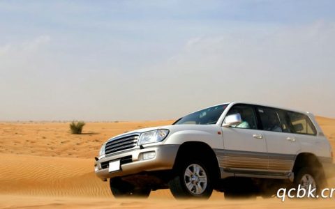 酷路泽普拉多的区别