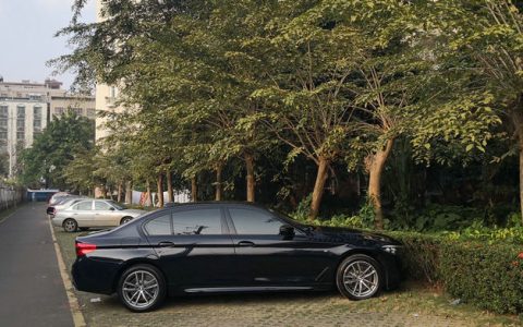 汽车停树下好还是暴晒好