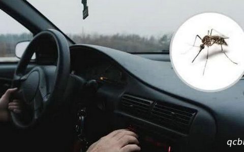 车里有蚊子怎么去除最有效
