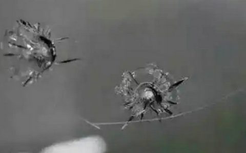 车玻璃被石头子崩了怎么修复