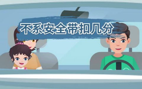 2023新规不系安全带扣多少分