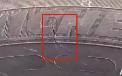 汽车轮胎侧面破了怎么办