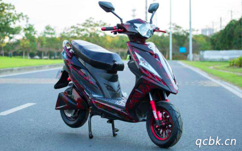 两轮电动车属于机动车吗