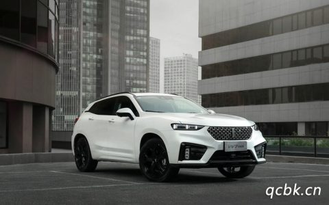 wey是什么品牌车