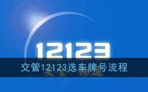 小型汽车网上自主编号申请怎么操作