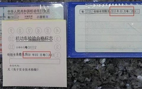 车辆年检日期在哪里看