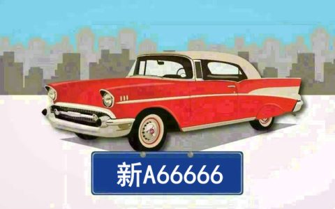 新车牌是哪里的车