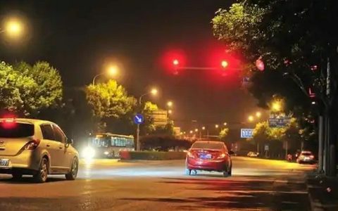 怎样查询当天违章记录