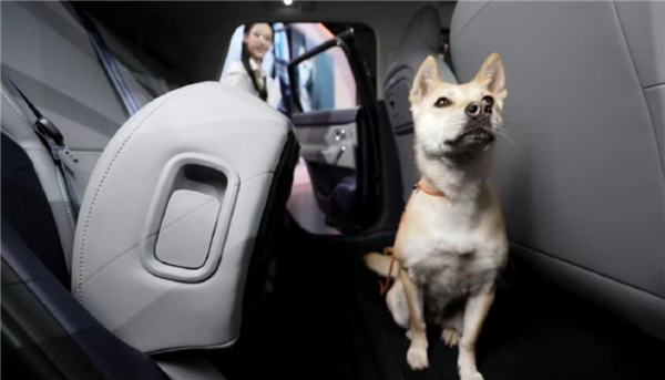 小车也有大空间！零跑A10得房率88.1%：首创106L可冲洗下沉储物舱