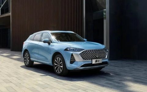 车标是wey是什么车