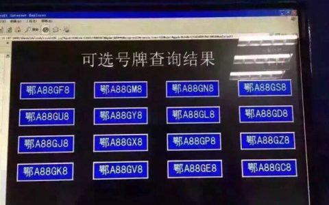 武汉的牌照是什么开头