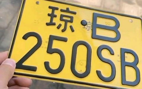 伪造机动车牌照扣几分