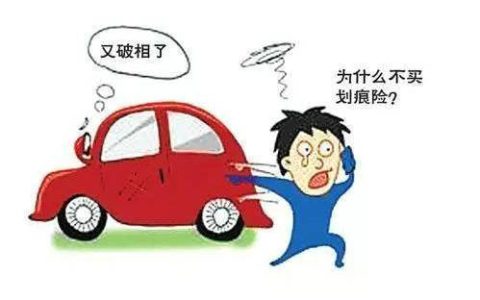 车子被划了找不到人能报保险吗