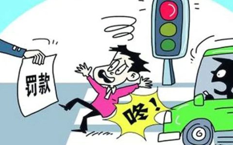 机动车违反禁令标志指示的意思是什么